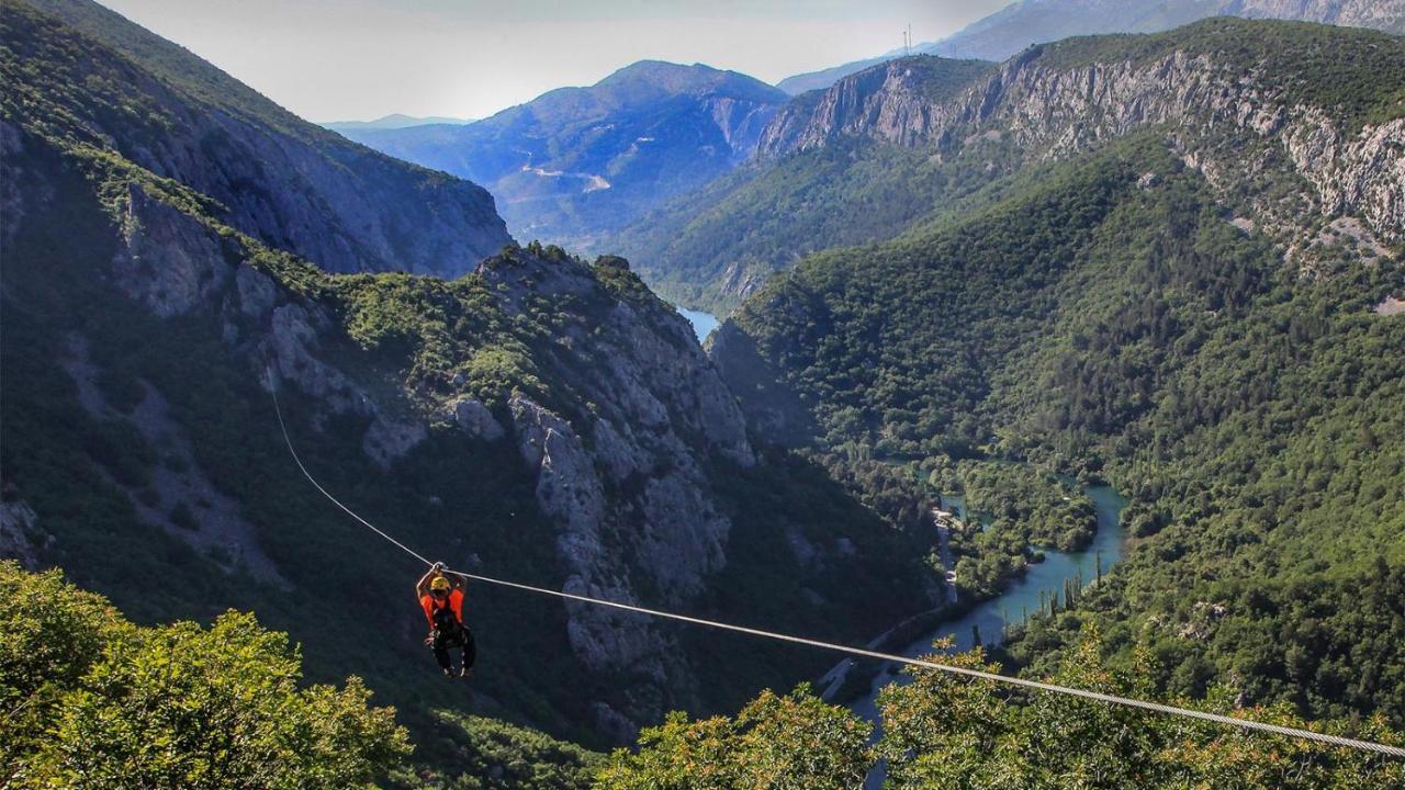 Nature * Omis